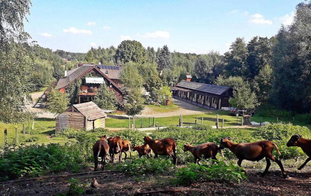 Tamarynowa Osada - Kraina Udanego Wypoczynku Villa Lowyn Exteriör bild